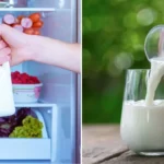 Kitchen Tips: गर्मियों में भी दूध रहेगा एकदम ताज़ा! देखें फ्रिज के किस हिस्से में दूध रखना होता है सबसे सही