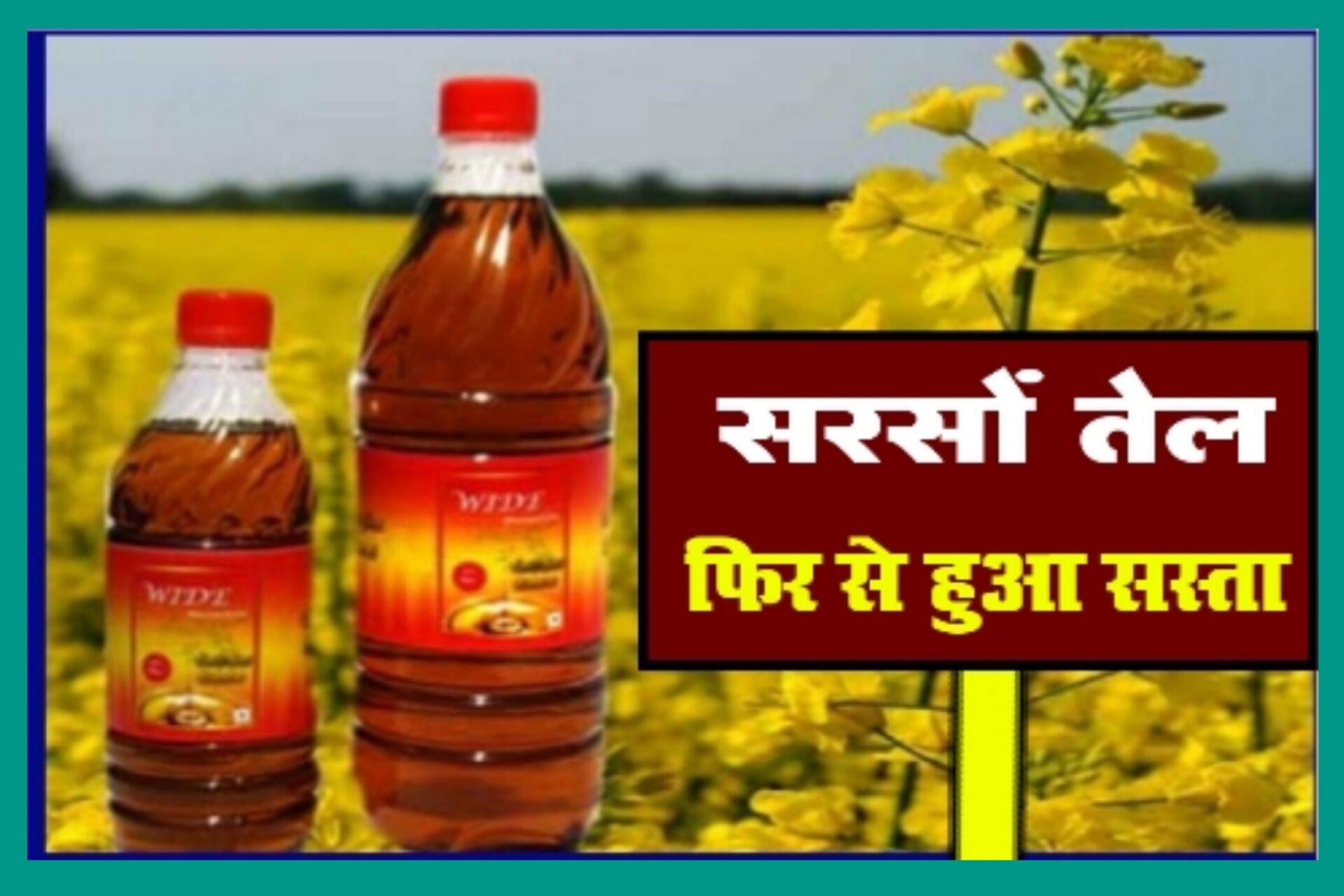 Mustard Oil: बड़ी खुशखबरी, 37 रुपये सस्ता हुआ सरसों का तेल, सिर्फ 110 रुपये लीटर हुआ भाव