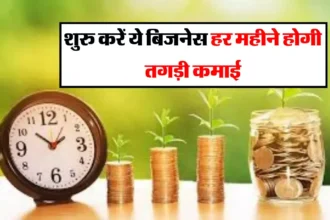 Business Ideas : शुरु करें ये बिजनेस, हर महीने होगी तगड़ी कमाई