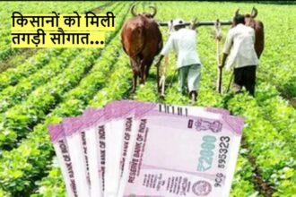 PM KISAN NEWS: 9 करोड़ किसानों का इंतजार खत्म, 14वीं किस्त पर आया चौंकाने वाला अपडेट, यूं चेक करें रकम