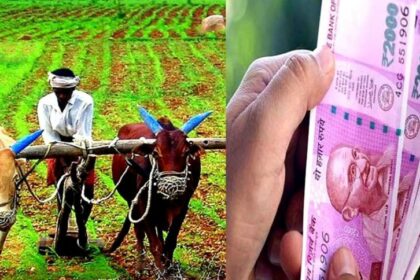 PM Kisan Update: भईया किसानों की खुशी का नहीं ठिकाना, अब 6,000 नहीं बढ़कर मिलेंगे इतने हजार रुपये