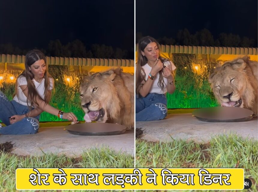 Lion Dinner With Girl: शेर के साथ डिनर करती है ये लड़की, VIDEO में कैसे एक ही थाली में खा रही है खाना