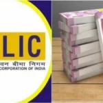 LIC की स्कीम ने जीता हर किसी का दिल, एक मुश्त मिल रहे इतने लाख रुपये कि गिनते ही छूटेगा पसीना