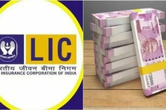 LIC की स्कीम ने जीता हर किसी का दिल, एक मुश्त मिल रहे इतने लाख रुपये कि गिनते ही छूटेगा पसीना