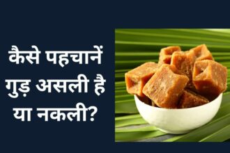 Jaggery Test: कहीं आप भी तो नहीं खा रहे मिलावटी गुड़? जानिए कैसे करें असली-नकली की पहचान