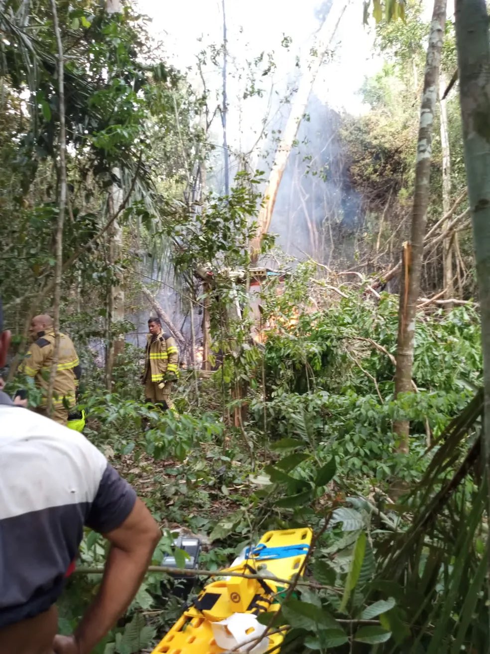 Brazil के अमेजन फॉरेस्ट में विमान क्रैश, मलबे में लगी भीषण आग, 12 की मौत
