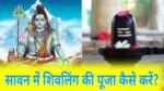 Sawan 2024 Shivling Puja: सावन में शिवलिंग की पूजा कैसे करें? जान लें सही विधि, नियम और पूजा सामग्री